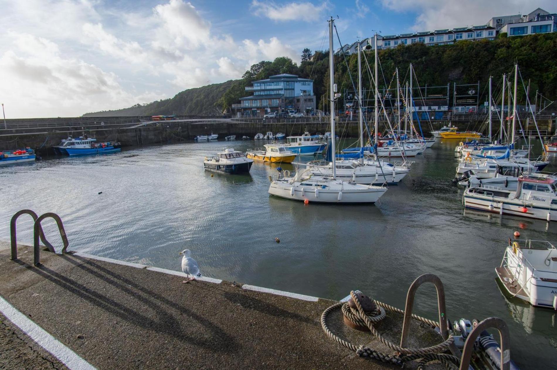 Ocean Cabins No 3 At The Square - Saundersfoot Room photo